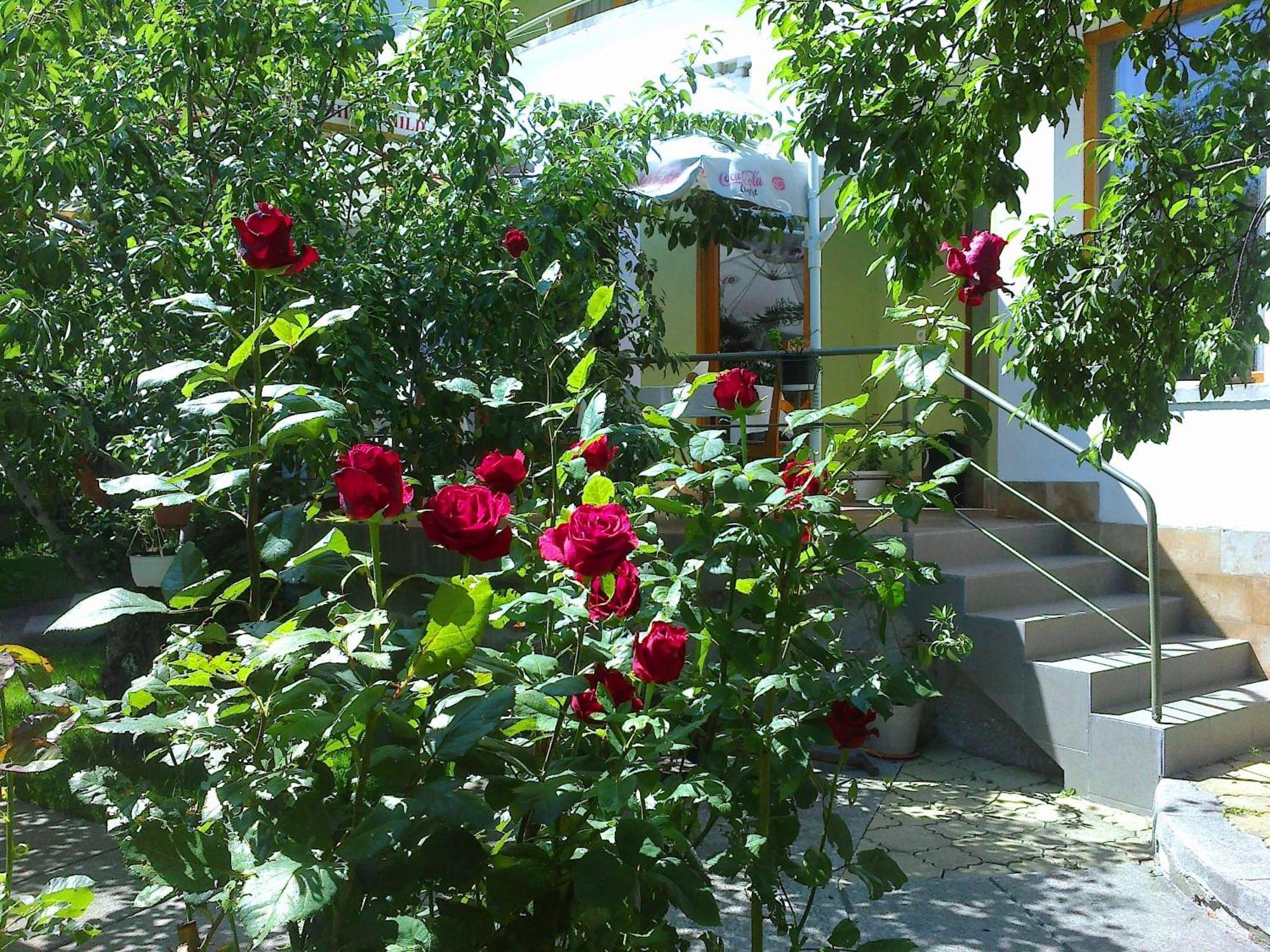 Family Hotel Sonata Samokov Exterior foto